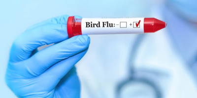 Can bird flu spread through air? How to stay safe