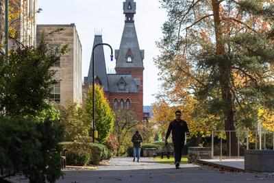 'Poison Ivies': Cornell professor's report highlights racial identity focus in Ivy League DEI programs