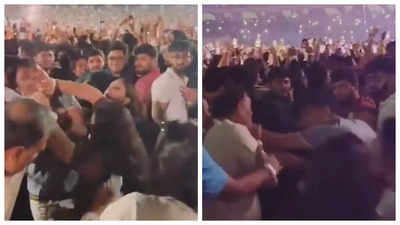 Elderly men at Coldplay concert get into fist-fight during Viva la Vida performance- WATCH