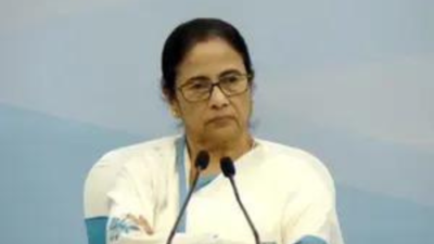 Mamata allegation of fishermen's torture 'unfounded', claims Bangladesh