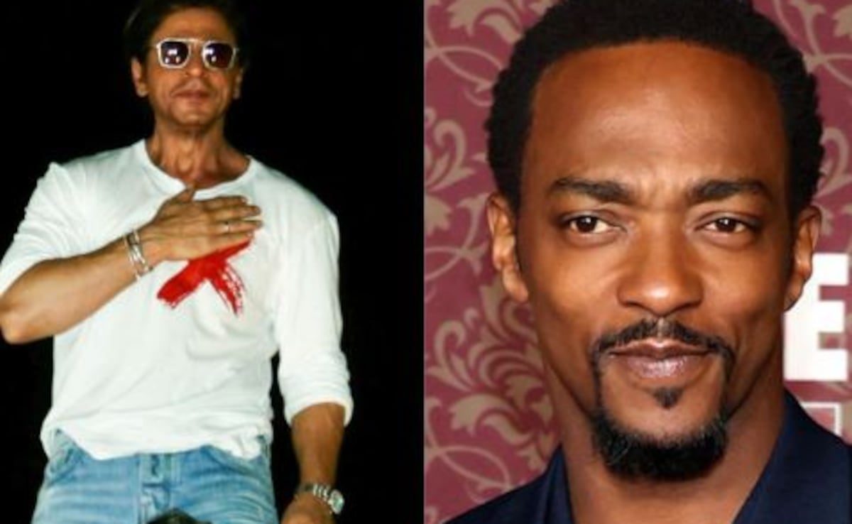 Captain America: Brave New World Actor Anthony Mackie Wants Shah Rukh Khan To Be The Next Avenger