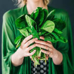 How to use Spinach or Palak for hair growth