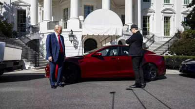 US President Donald Trump makes a 'Big Tesla Terrorism' announcement, says 'I will do that, I will ...'