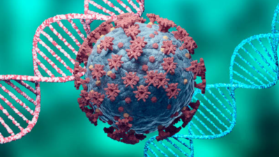 What is human coronavirus-HKU1 recently identified in India? Is it more dangerous than COVID-causing coronavirus?